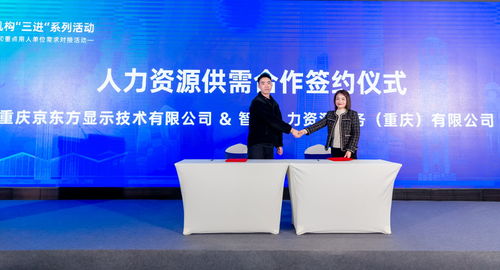 渝中區舉辦優質人力資源服務推介與重點單位需求對接活動，譜寫產業發展新篇章