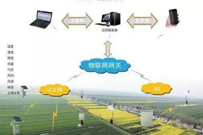 中國農業十大新戰略與計算機信息系統集成的融合路徑